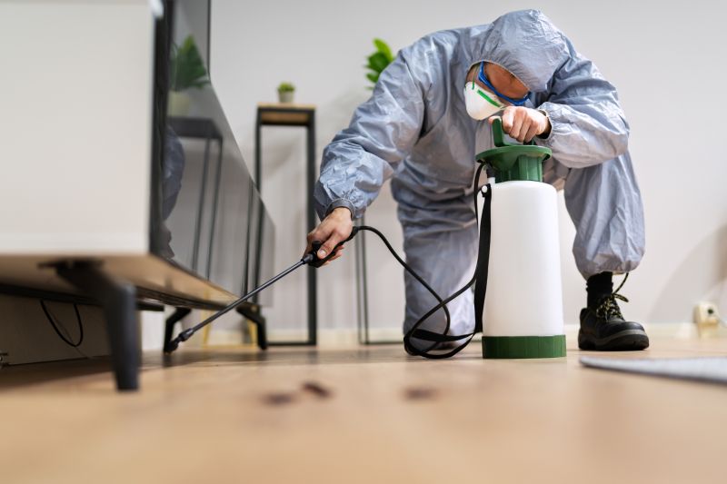Pest Fumigation Service in Tampa, FL